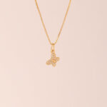 Collar Aurora Flutter