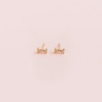 Aretes Huesito Mini Strass