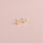 Aretes Maripositas Strass