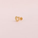 Piercing Radiant Heart