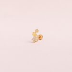 Piercing Bright Constellation