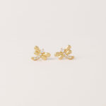 Aretes Golden Wings